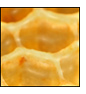 honeycomb2.jpg